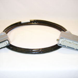 12 ZONE THERMOCOUPLE CABLE - 10' (DME Style) BWTC12-10